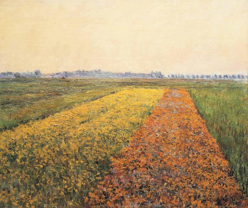 Gustave Caillebotte The Yellow Fields at Gennevilliers oil painting image
